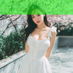发展阶段